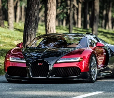 Bugatti Veyron F.K.P. Hommage