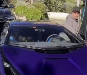 Fernando Alonso Lamborghini Sian