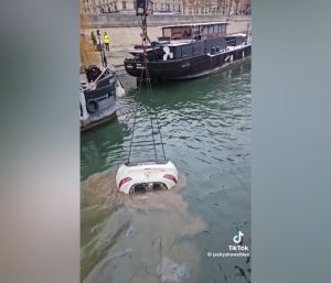 Renault Clio río Sena