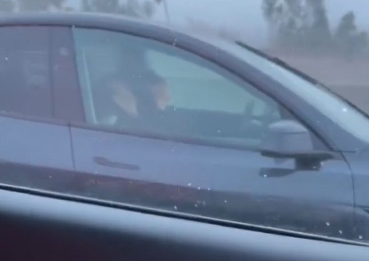 Tesla pasajeros dormidos
