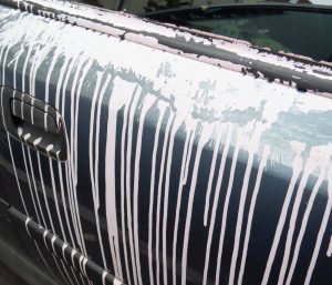 coche grafiti seguro