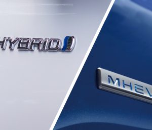 Híbrido o microhíbrido