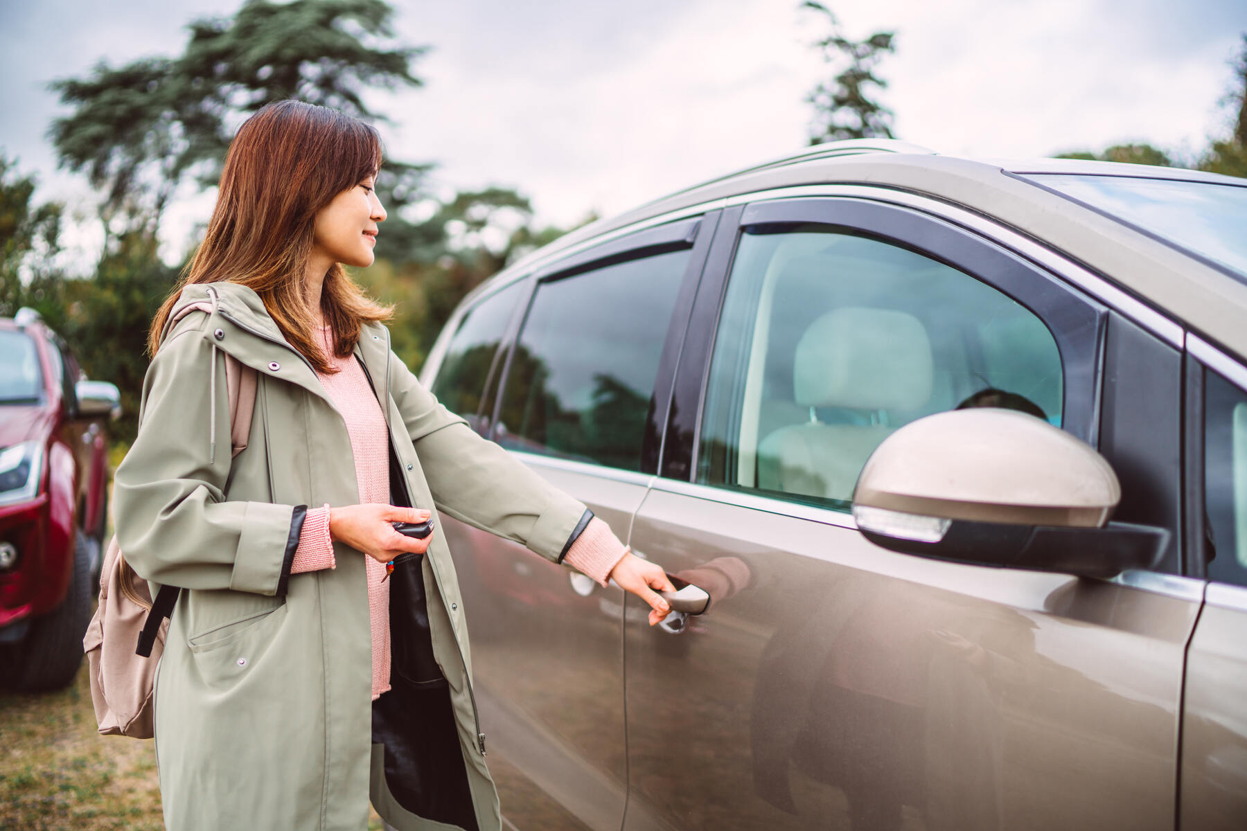 Tirador puerta coche