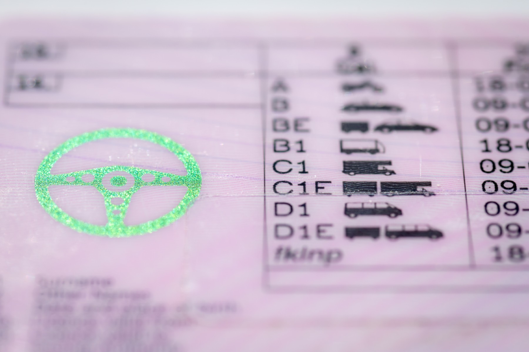 carnet de conducir puntos