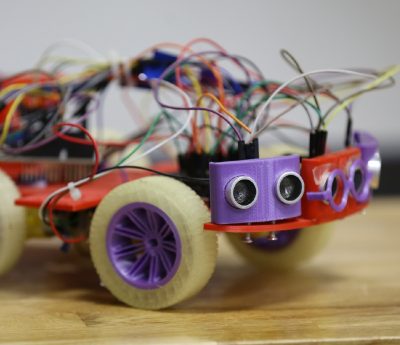 coche experimento viral