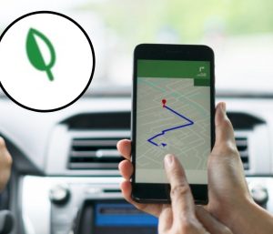 hoja verde google maps