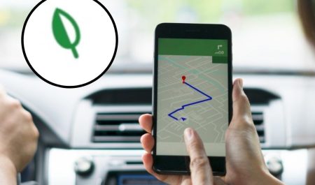 hoja verde google maps