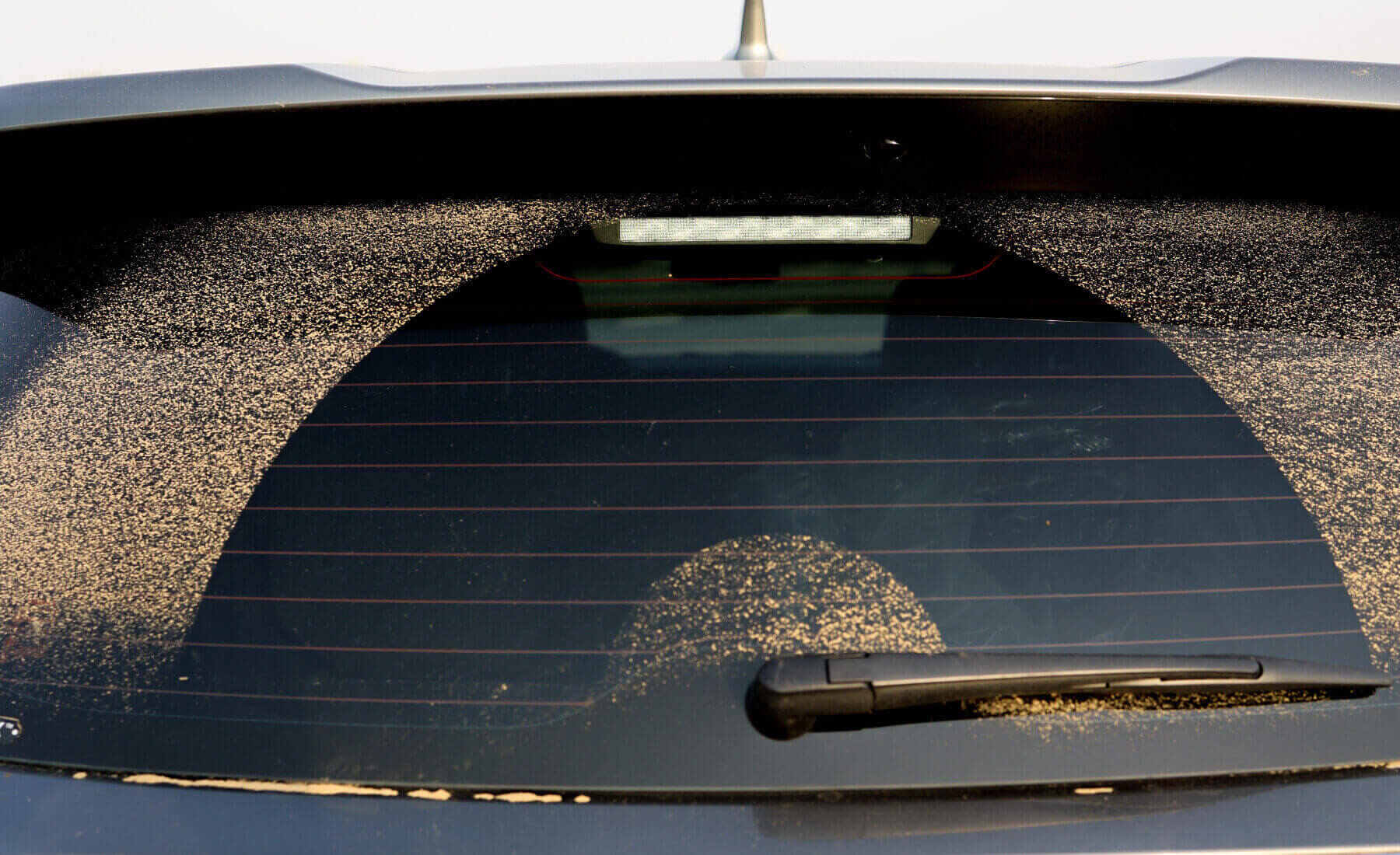 limpiaparabrisas trasero