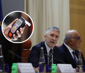 marlaska alcoholemia dgt