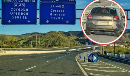 pegatina verde northgate coche