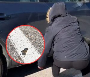 Método siembra supermercado