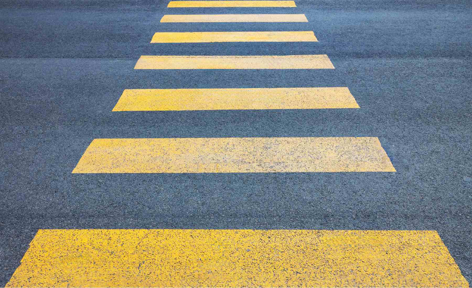 Cebra cruzando las líneas amarillas