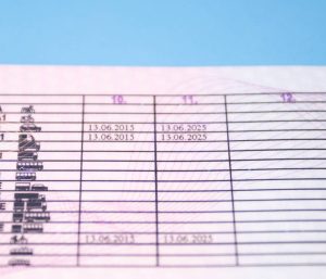 carnet de conducir renovar