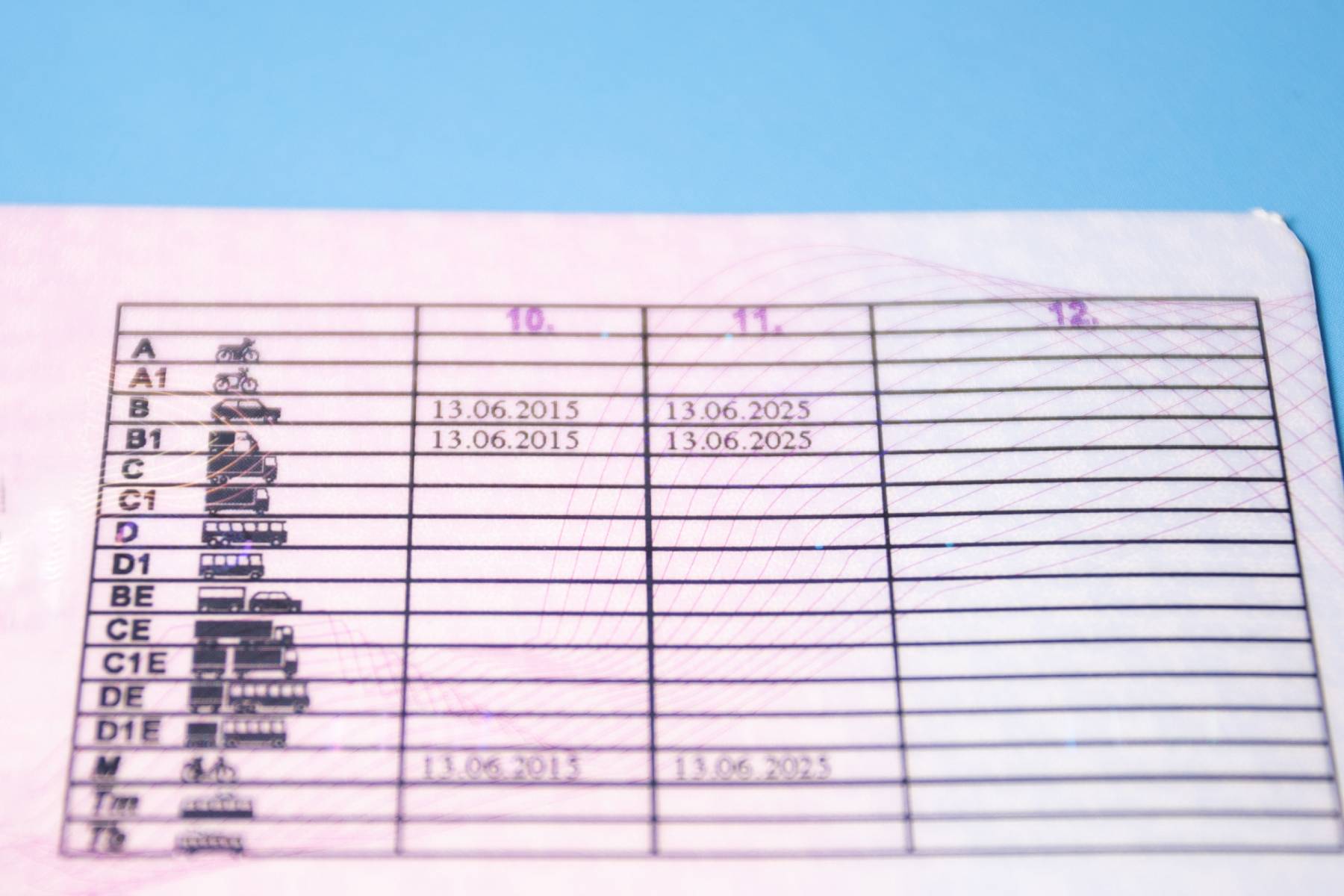 carnet de conducir renovar