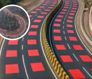 carretera roja india tigres