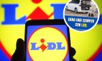 Abrí Instagram y casi caigo en un sorteo que tiene como gancho a Lidl y es una estafa: ‘spoiler’, quieren robarte tus datos