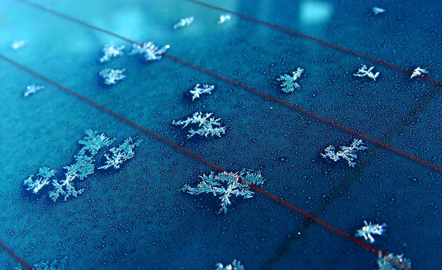 filamentos de la ventana trasera