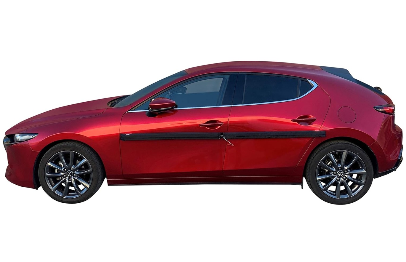 protector de puerta de coche