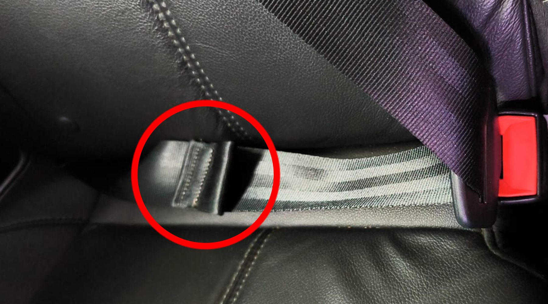 Bucle cinturón seguridad