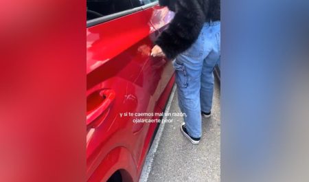 Coche rayado moda viral