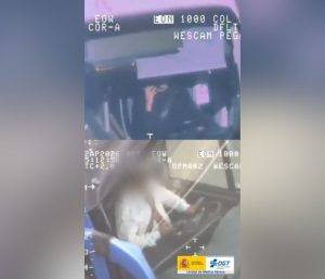 DGT teléfono móvil