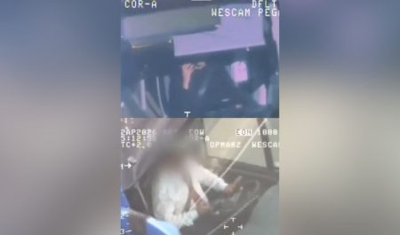 DGT teléfono móvil