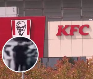 Ladrón de pollo frito Parquesur