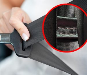 Lazo cinturón de seguridad