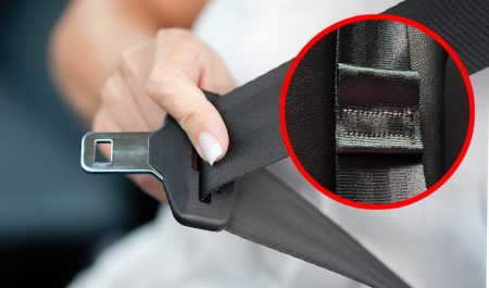 Lazo cinturón de seguridad