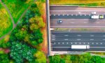 El nuevo megapuente de la M-607 que no es para coches ni personas: Madrid estrena su primera ‘autopista’ de selva