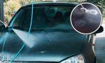 Lavó un coche con manguera a presión y le saldrá bastante caro: se formaron burbujas de plástico por este motivo