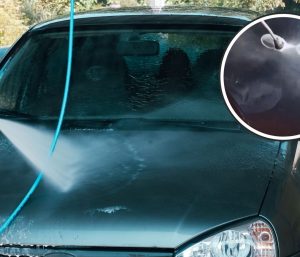 lavado a presión burbujas coche