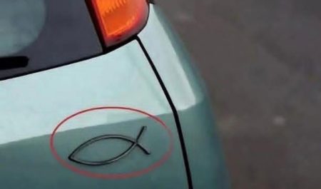 pececito pegatina coche