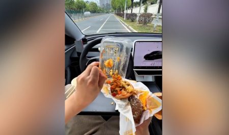 Mcdonalds Tesla bandeja