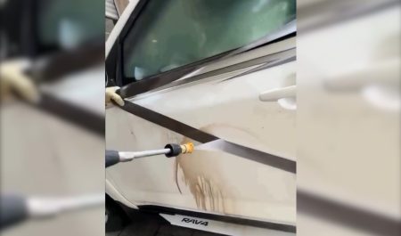 cinturón seguridad limpiar coche