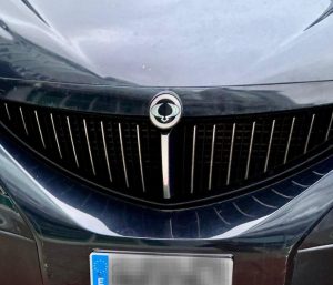 coche logo ssangyong