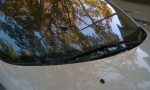 El error más común del verano puede arruinar la pintura del coche en solo unos días 
