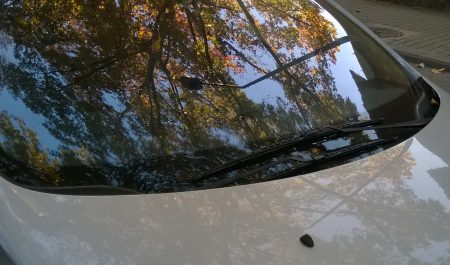 coche sombra árbol
