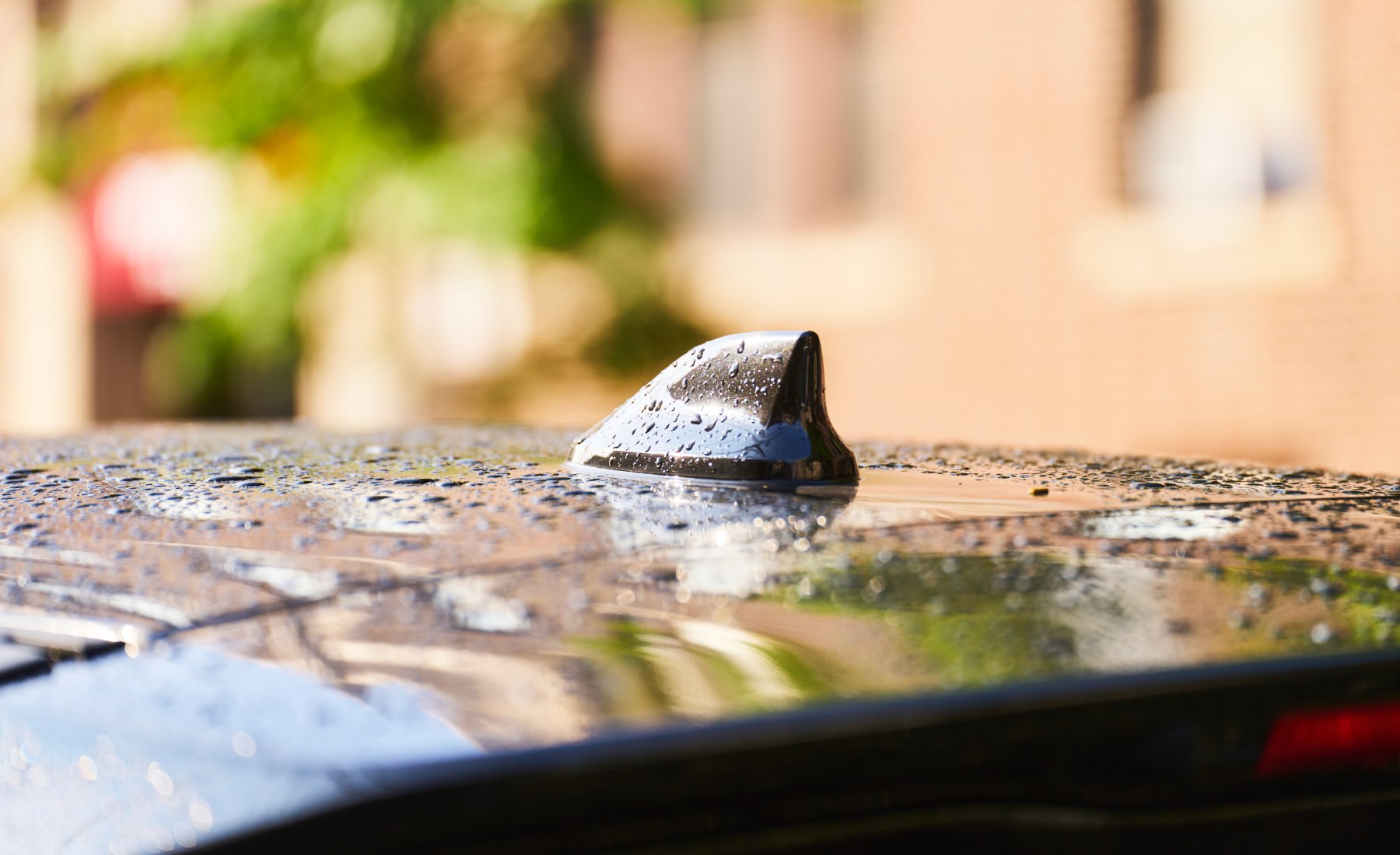 gotas coche
