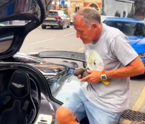 Aguacates Aston Martin