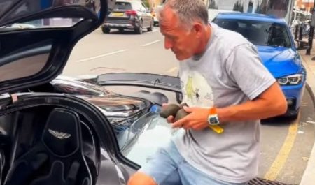 Aguacates Aston Martin