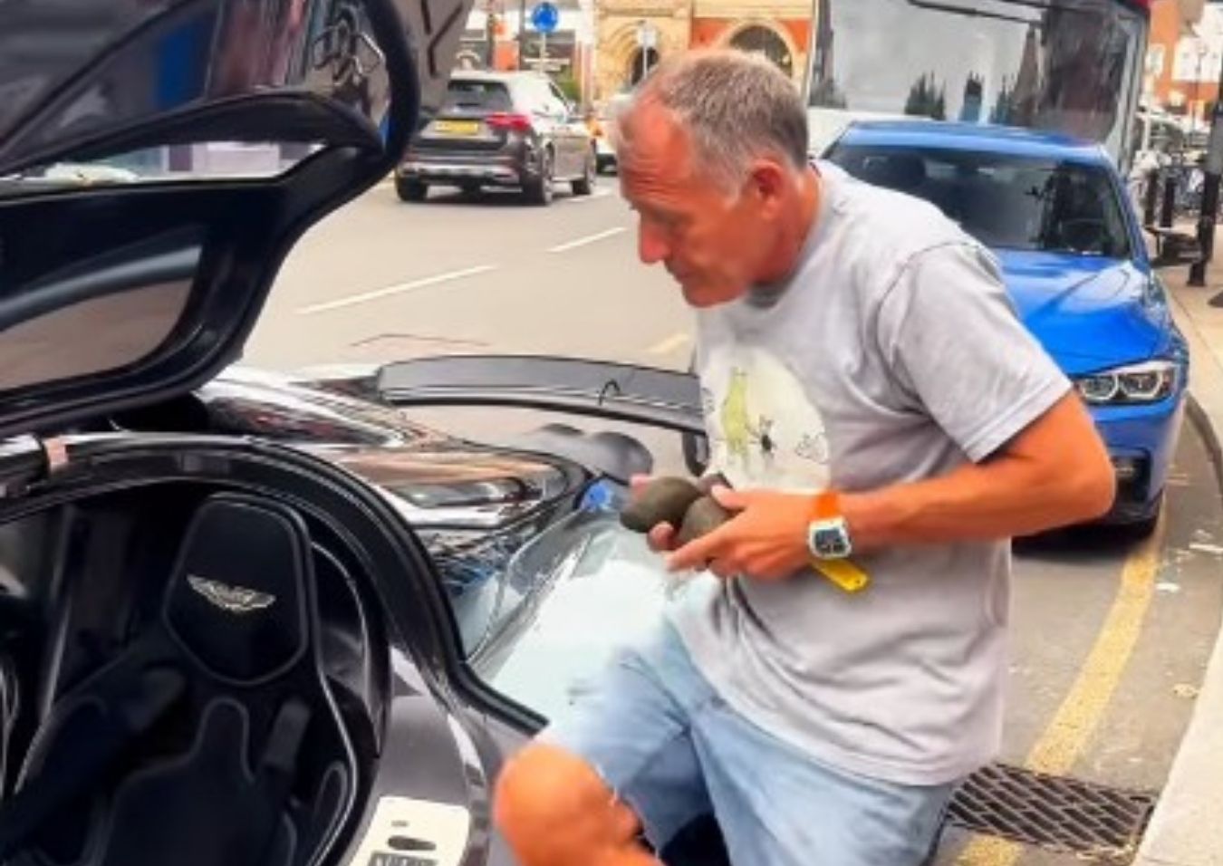 Aguacates Aston Martin