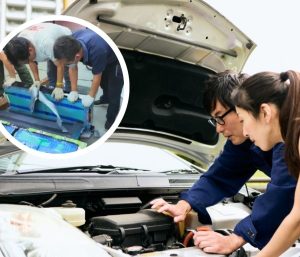 BYD baterías coche