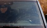 Por qué los coches ya no terminan con el parabrisas lleno de insectos (como en los ochenta) tras los viajes veraniegos