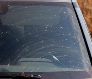 Parabrisas coche con insectos