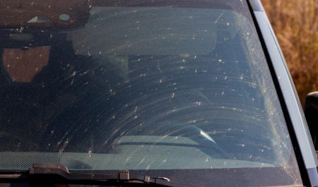 Parabrisas coche con insectos