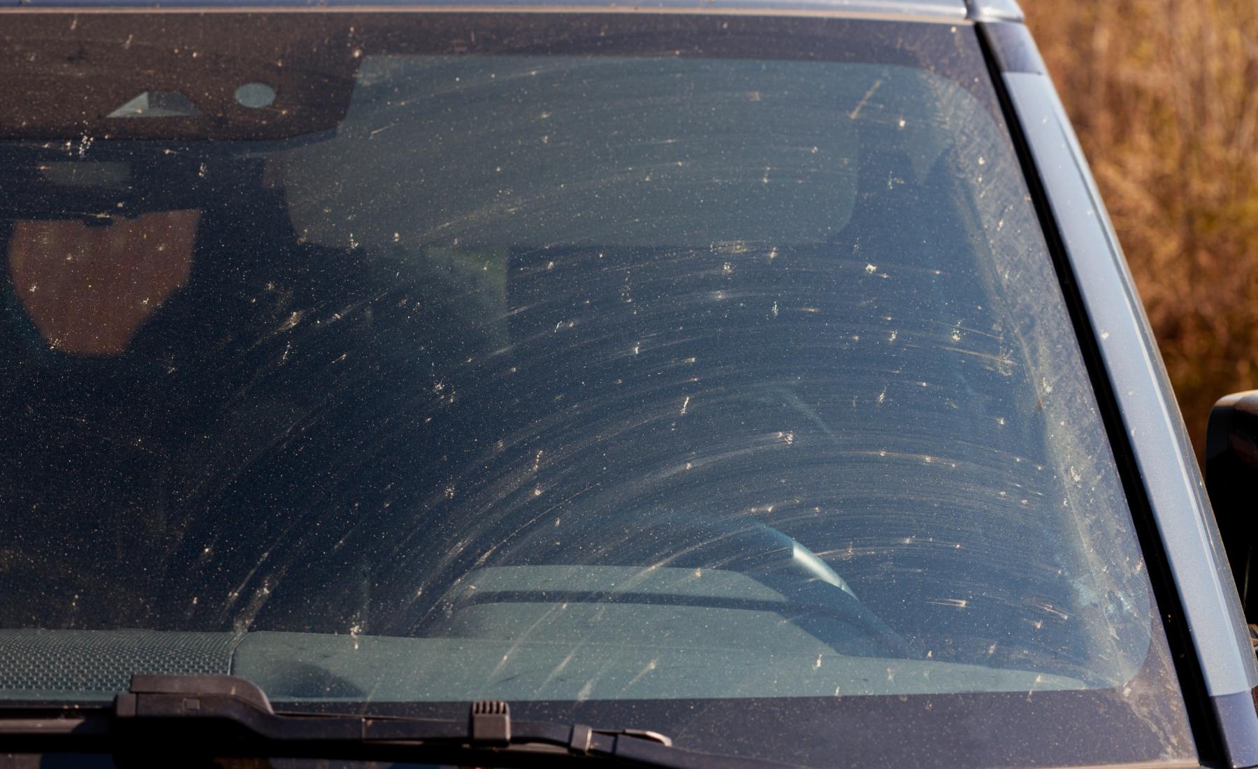 Parabrisas coche con insectos