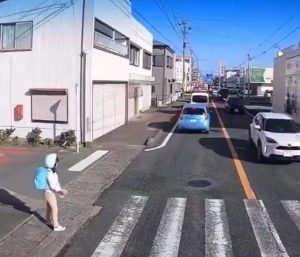 Paso de peatones Japón
