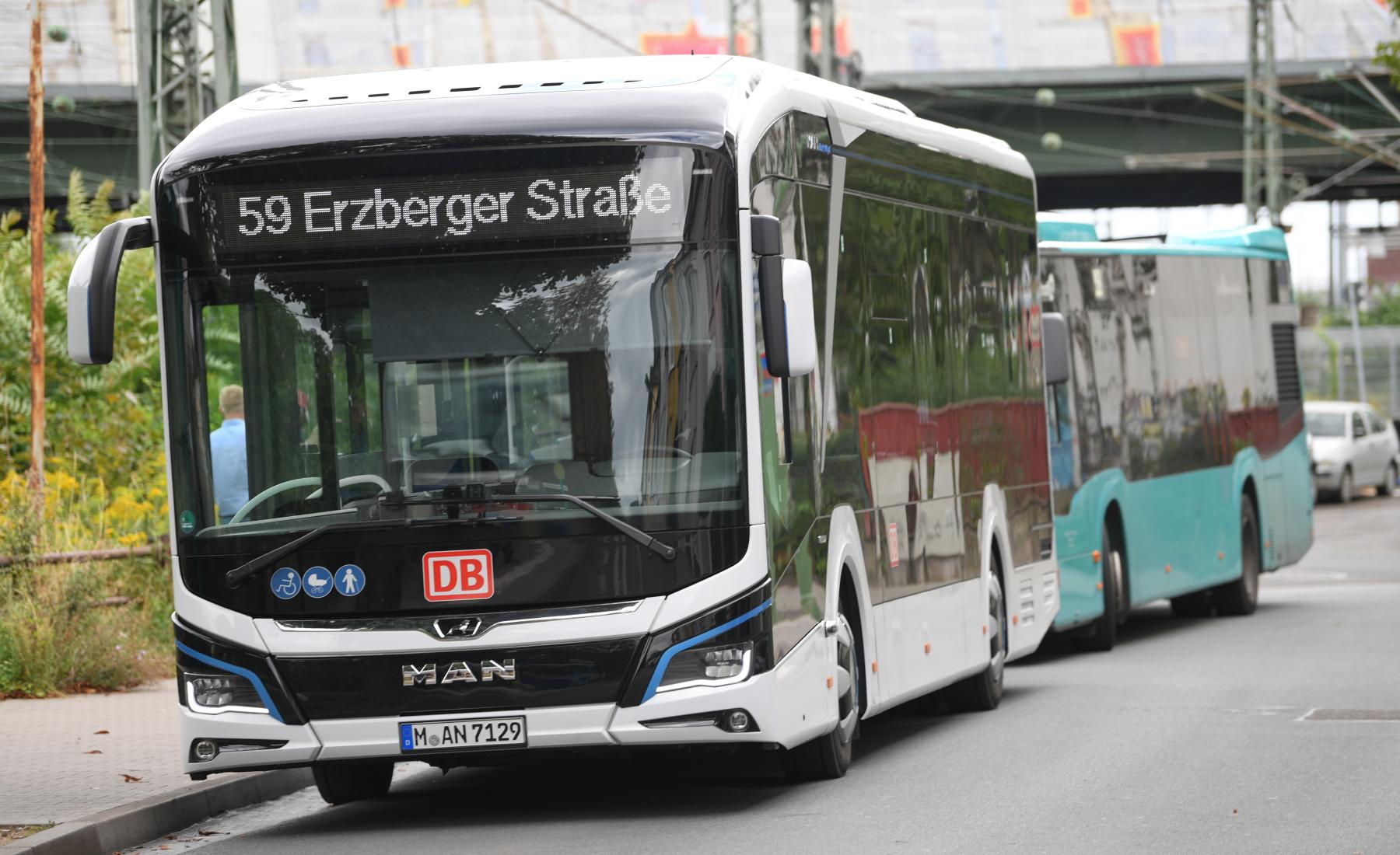 autobús