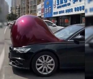 coches embarazados calor